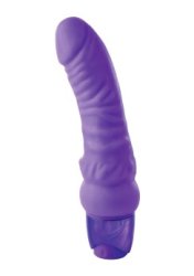 Mr. Right Vibrator