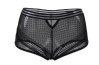  P5154-1 High Waist Panty 