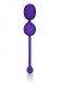 Rechargeable Dual Kegel