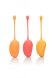 Kegel Training Set Mango