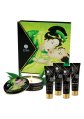 Geisha Organica Exotic Green Tea 