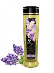 Shunga Massage Oil Sensation