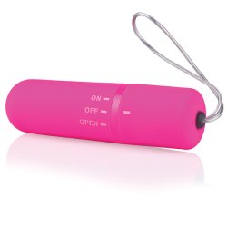 Remote Control Panty Vibrator Pink