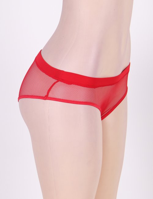 P5091-2 Netted Open Back Panty