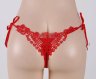  Embroidered & Beaded Lady Panty 