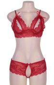 Cranberry And Lace Bra set - One Size